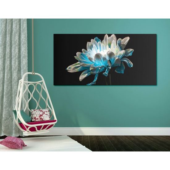 Obraz zaujímavo sfarbená sedmokráska