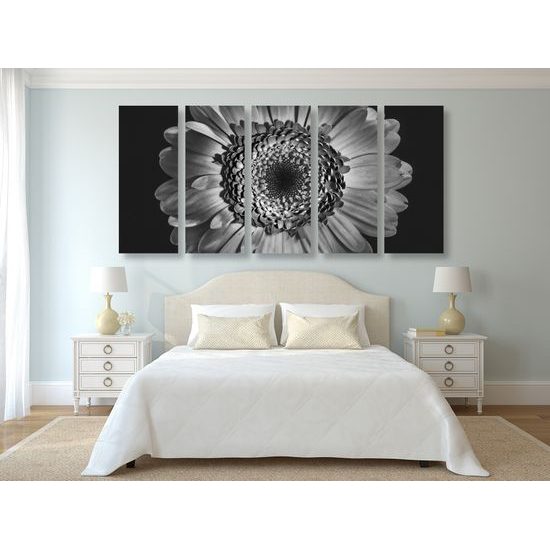5-dielny obraz detail gerbery v čiernobielom prevedení