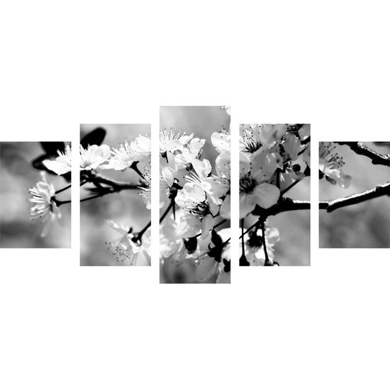 5-dielny obraz krásny kvet v čiernobielom prevedení