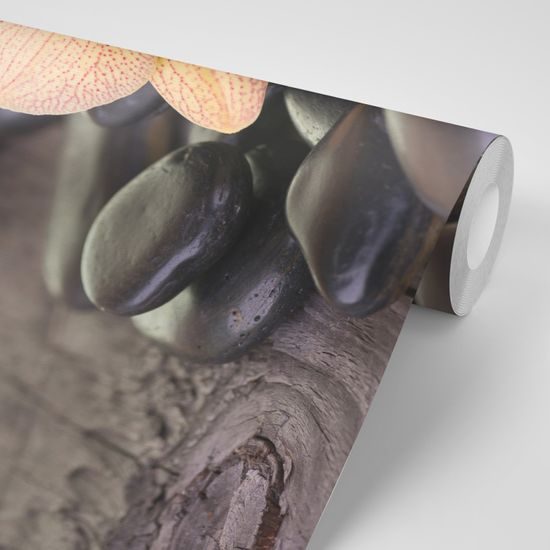 Samolepiaca fototapeta krásna orchidea so zen kameňmi
