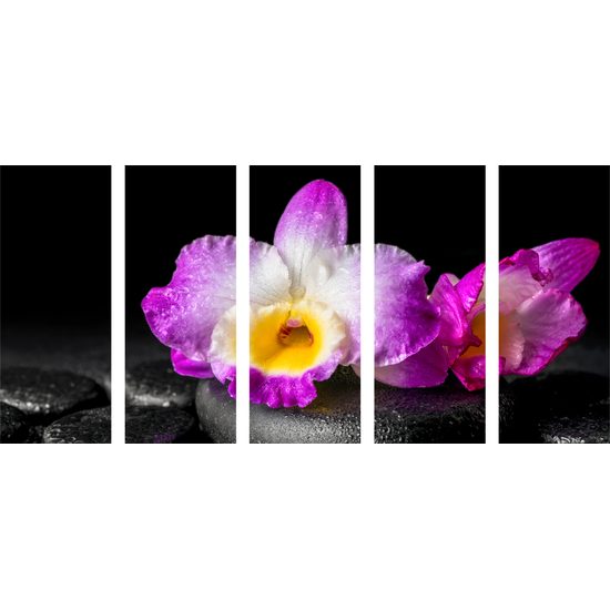 5-dielny obraz krásny kvet orchidei