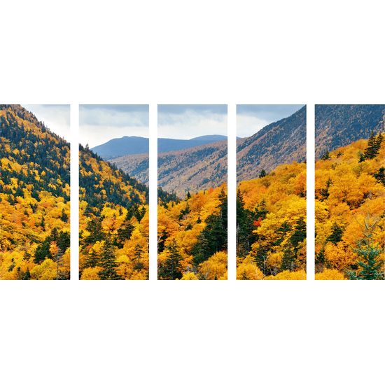 5-dielny obraz pohľad na jarnú krajinu