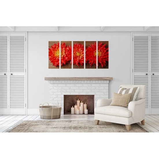 5-dielny obraz kvety nežnej dálie na drevenom pozadí