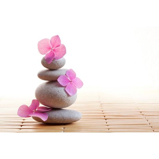 Fototapeta rovnováha kameňov s ružovými kvietkami