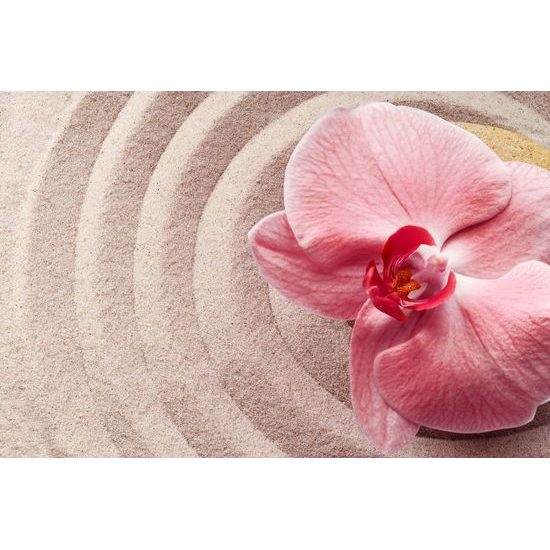 Obraz ružová orchidea v Zen zátiší