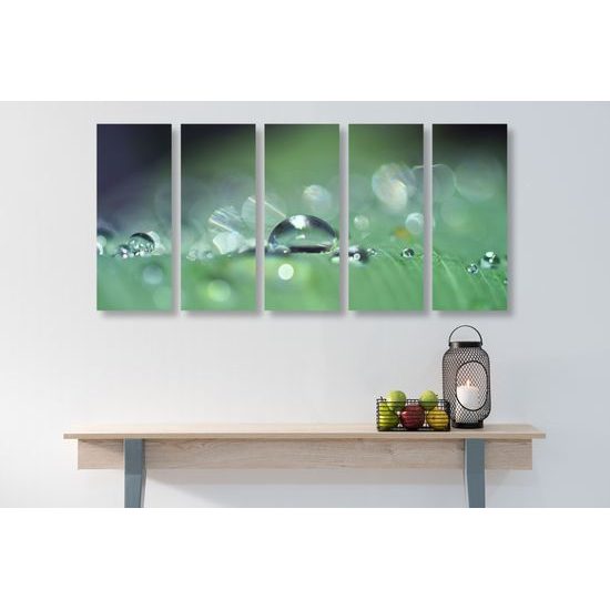 5-dielny obraz detail zameraný na kvapku rosy