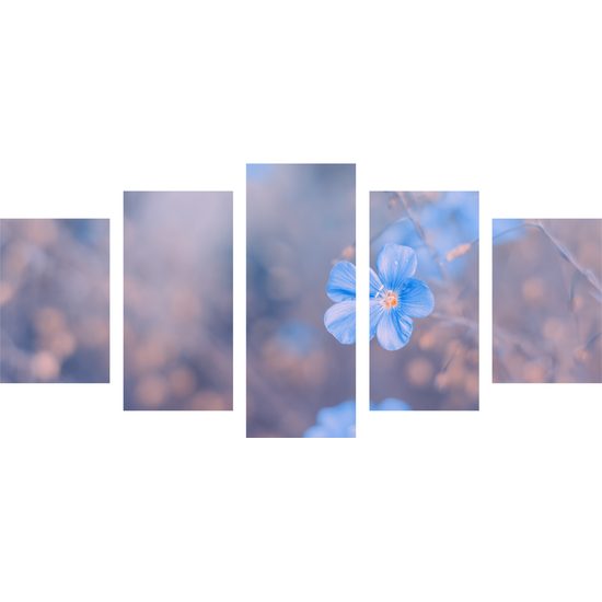 5-dielny obraz jarný kvietok