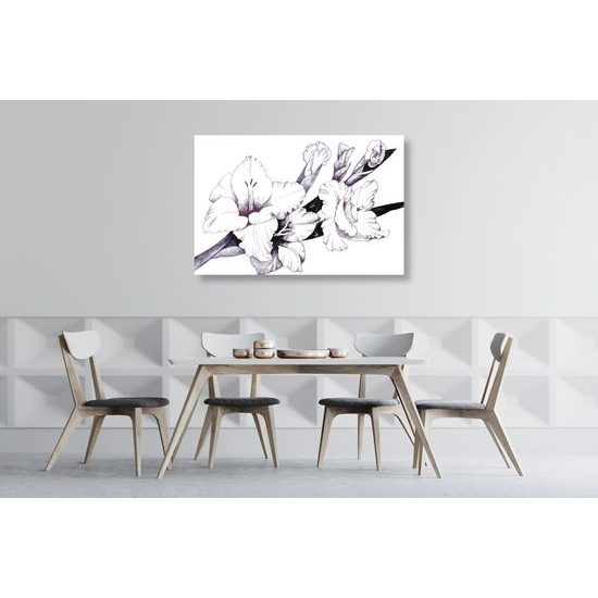 Obraz minimalistická gladiola