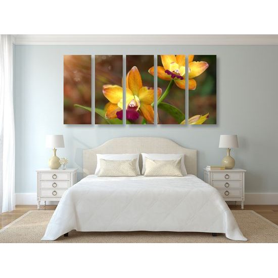 5-dielny obraz unikátna zlatá orchidea