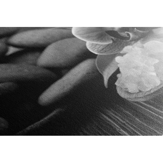 Obraz ukľudnujúci wellness v čiernobielom prevedení