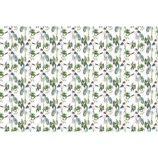 Samolepiaca tapeta nádherné tropické rastliny na bielom pozadí