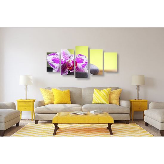 5-dielny obraz zaujímavo sfarbená orchidea a Zen kamene