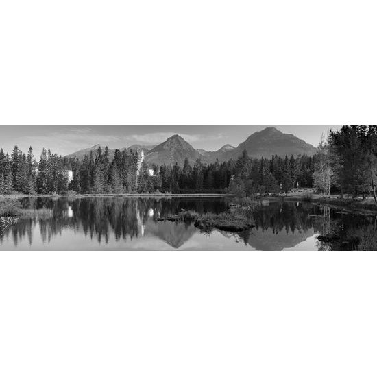 Obraz pravá Kanadská príroda v čiernobielom prevedení