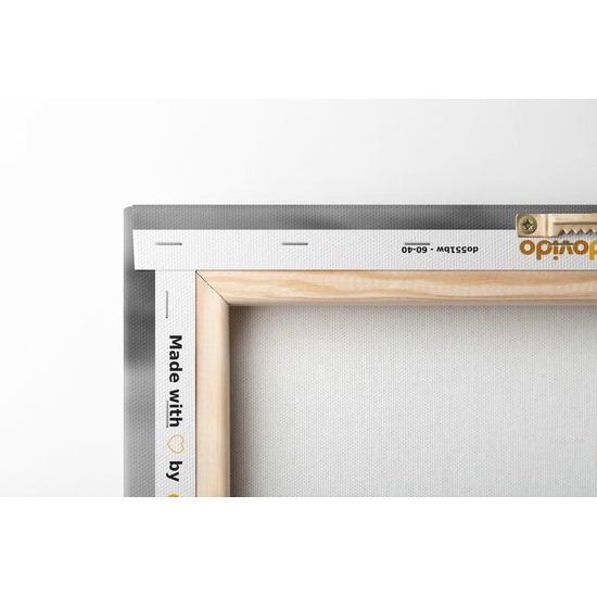 Obraz bylinky pri západe slnka v čiernobielom prevedení