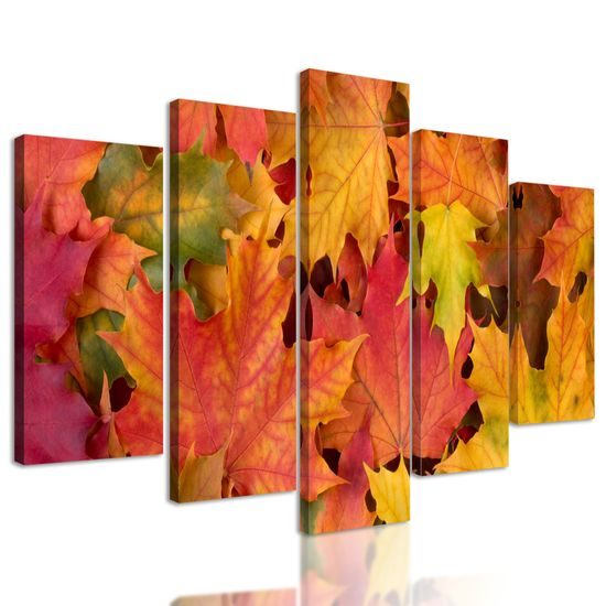 5-dielny obraz jesenné javorové listy