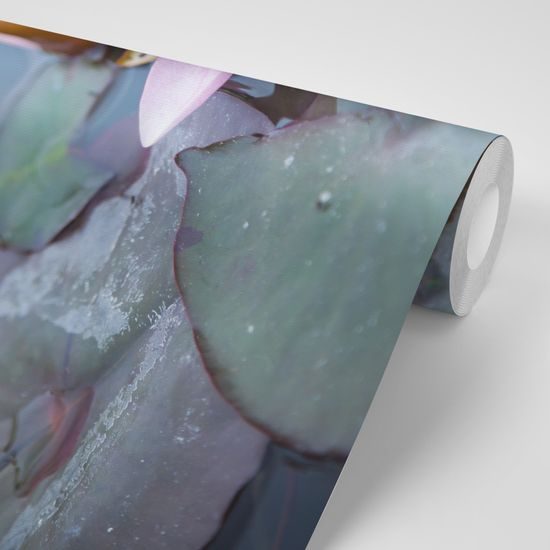 Samolepiaca fototapeta mystický lotosový kvet