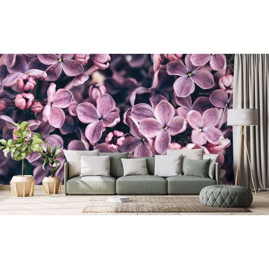 Nádherná fototapeta kvietky orgovánu