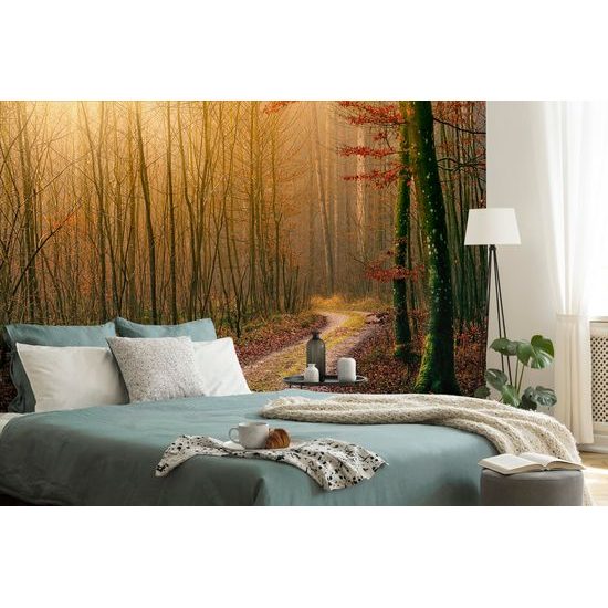Samolepiaca fototapeta rozprávková cesta lesom