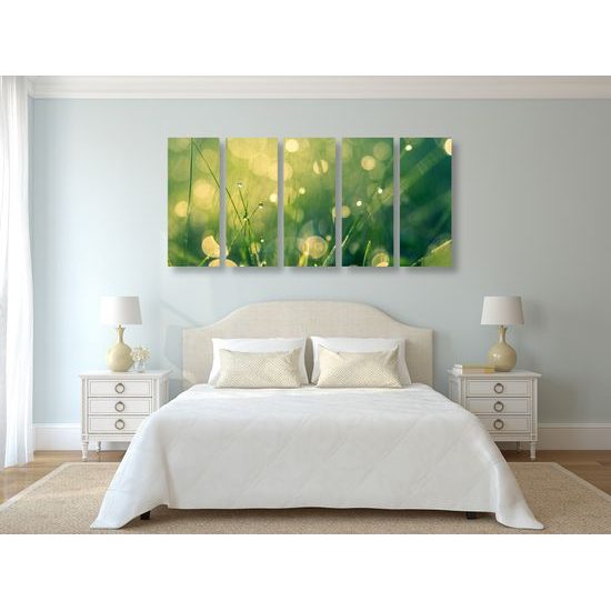 5-dielny obraz nádherná ranná lúka