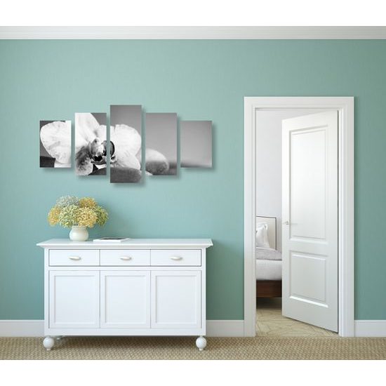 5-dielny obraz zaujímavo sfarbená orchidea a Zen kamene v čiernobielom prevedení