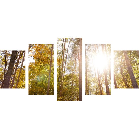 5-dielny obraz slnko v korunách stromov