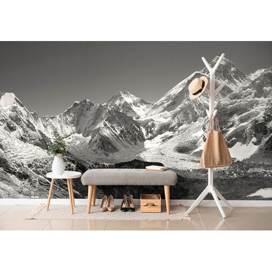 Samolepiaca fototapeta čiernobiely letný pohľad na ľadovec