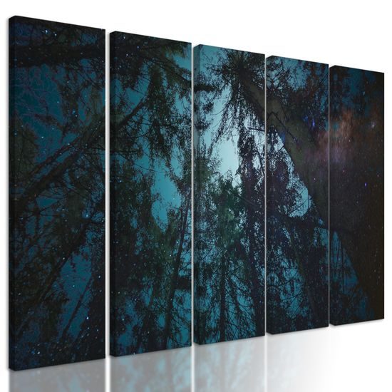 5-dielny obraz obloha medzi korunami stromov