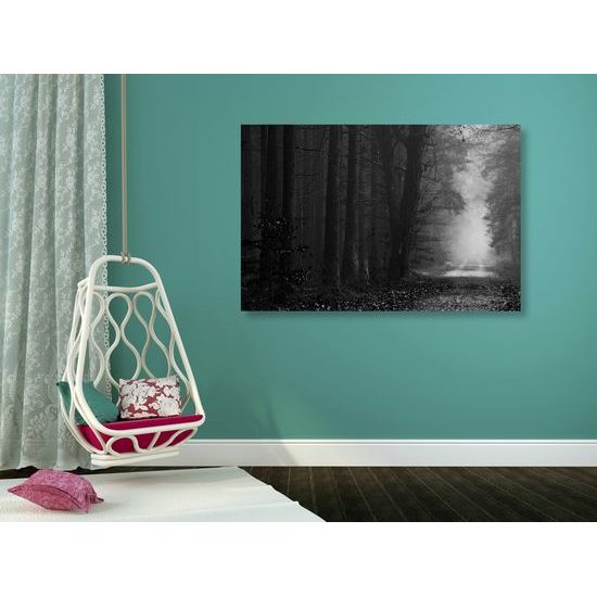 Obraz nádherný čarovný les v čiernobielom prevedení