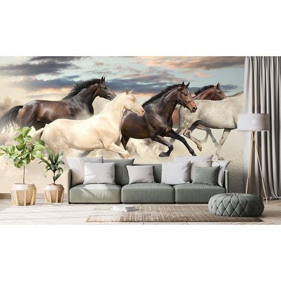 Očarujúca tapeta stádo cválajúcich koní
