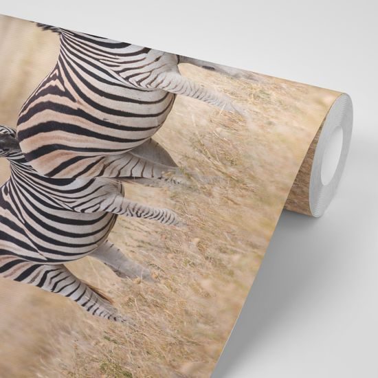 Samolepiaca fototapeta zebria rodinka