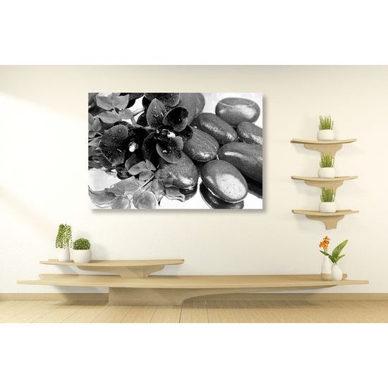 Obraz wellness zátišie a kvet orchidei v čiernobielom prevedení