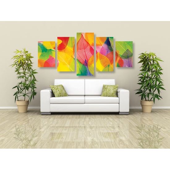 5-dielny obraz pestrofarebné jessenné listy