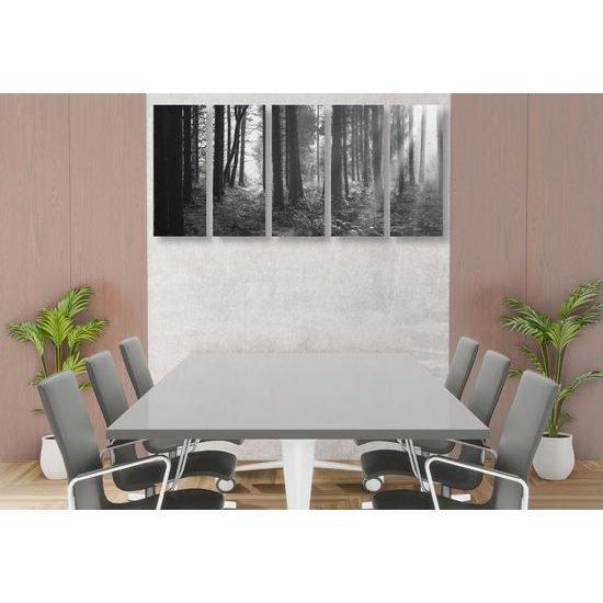 5-dielny obraz slnko predierajúce sa medzi korunami stromov v čiernobielom prevedení