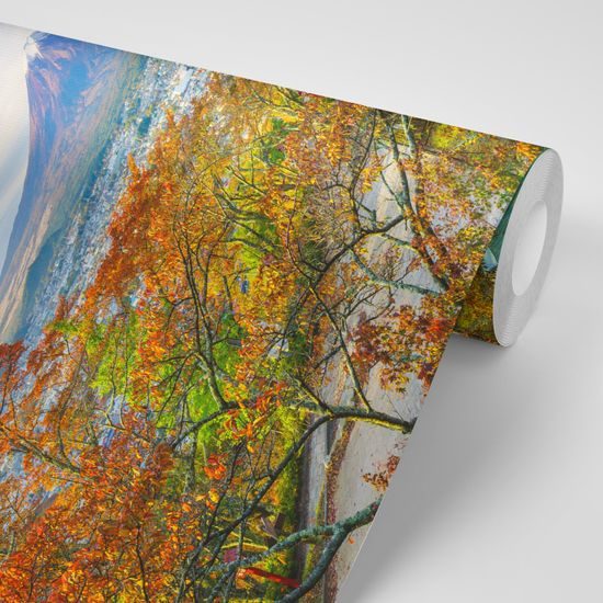 Samolepiaca fototapeta fotogenická Chureito Pagoda s horou Fuji