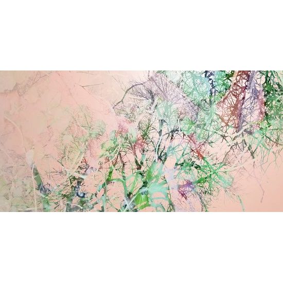 Obraz farebné konáre stromu