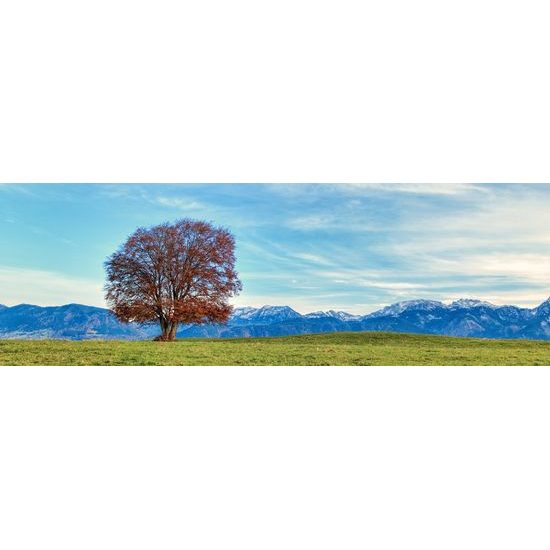 Obraz strom obklopený horami