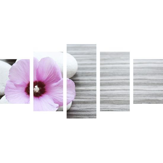 5-dielny obraz nádherný kontrast medzi kvetom a kameňmi