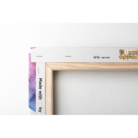 Obraz vzduchový balón