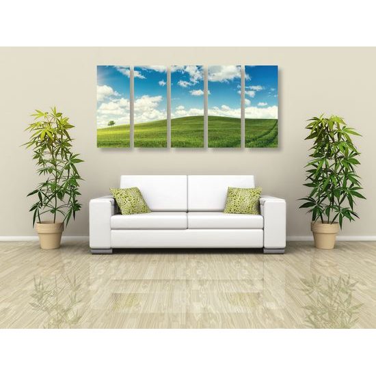 5-dielny obraz slnečný deň na lúke