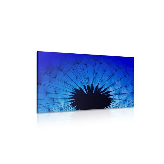 Obraz abstraktná nočná púpava