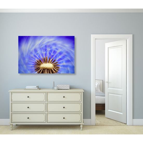 Obraz čarovná púpava