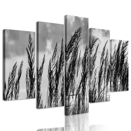 5-dielny obraz poľná tráva s nebeským pozadím v čiernobielom prevedení