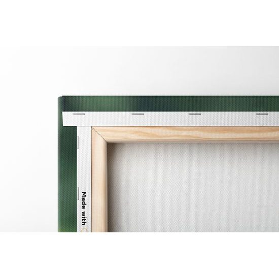 Obraz červený mak uprostred lúky