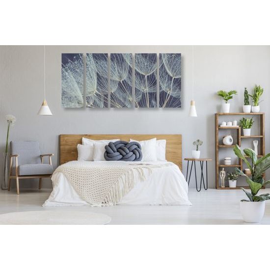 5-dielny obraz nádherný detail púpavy