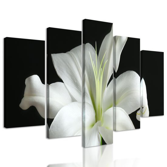 5-dielny obraz dýchberúca biela ľalia
