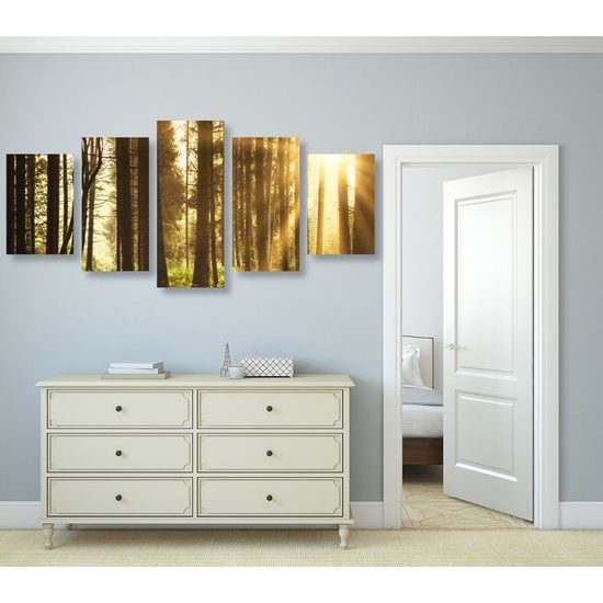 5-dielny obraz slnko predierajúce sa medzi korunami stromov