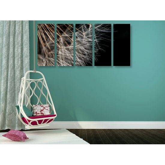 5-dielny obraz detail púpavy