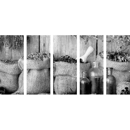 5-dielny obraz poľné bylinky v čiernobielom prevedení
