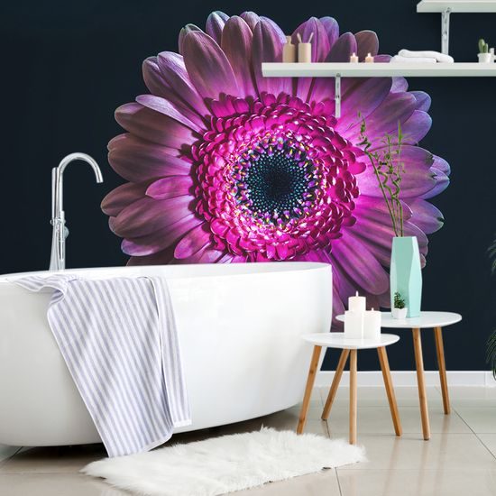Originálna tapeta gerbera na tmavom pozadí