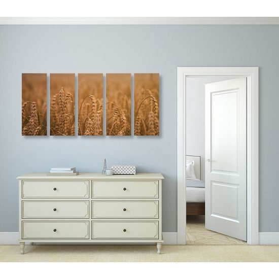 5-dielny obraz pšeničné pole